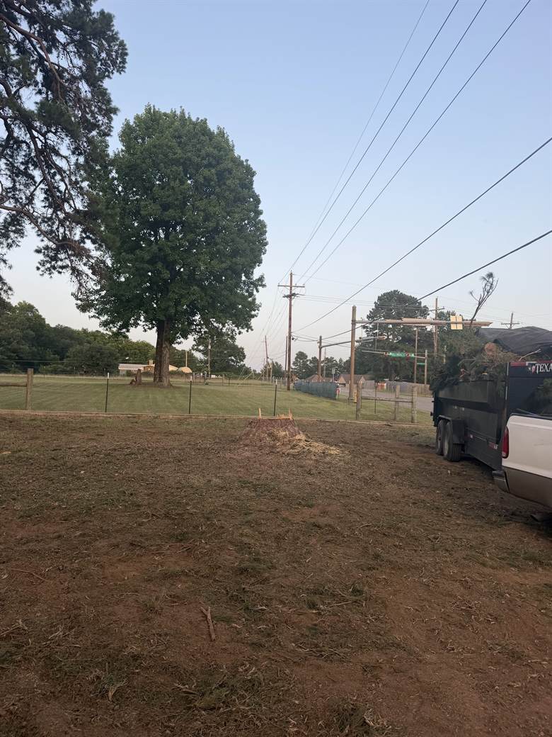 A lot cleared back to bare dirt with one large tree left standing and a loaded trailer at the edge.