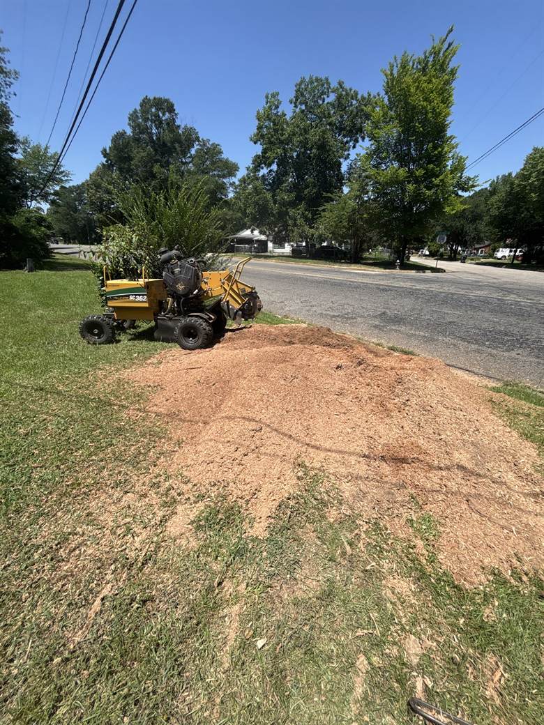 A stump grinder parked on a lawn by the street beside a large mound of fresh grindings.