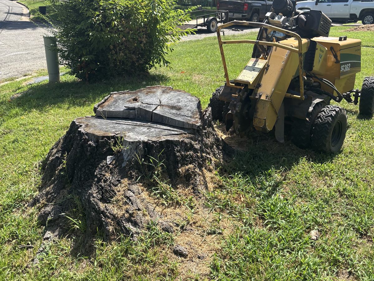 A large stump in a front yard with the stump grinder moved up beside it.
